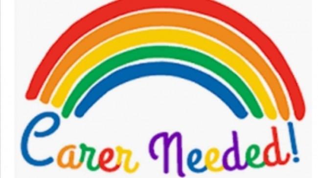 Care Assistant Needed 