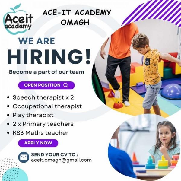 Ace -It Academy are hiring