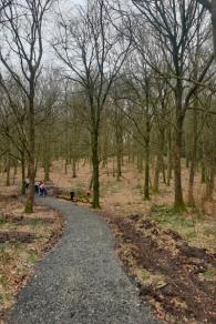 Drumcarine Forrest Stewartstown.