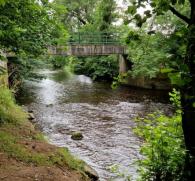 Riverside walk at Ardtrea