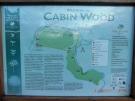 Cabin Wood  - 