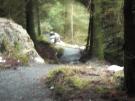  New 400000 biking trails for Davagh Forest - 