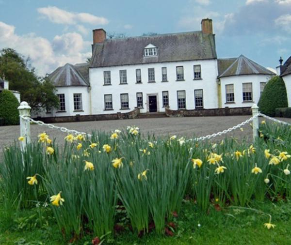  Cookstown District Guide