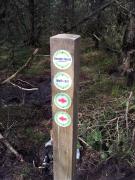  New 400000 biking trails for Davagh Forest - 