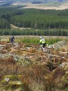  New 400000 biking trails for Davagh Forest - 