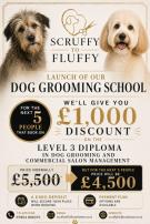 OCN Level 3 Diploma in commercial Dog Grooming, Animal welfare and salon management 