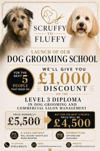 OCN Level 3 Diploma in commercial Dog Grooming, Animal welfare and salon management 